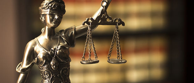 Expert Witness