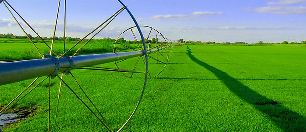 Sustainability