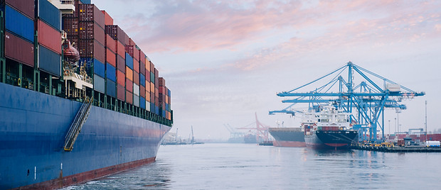 Supply Chain
